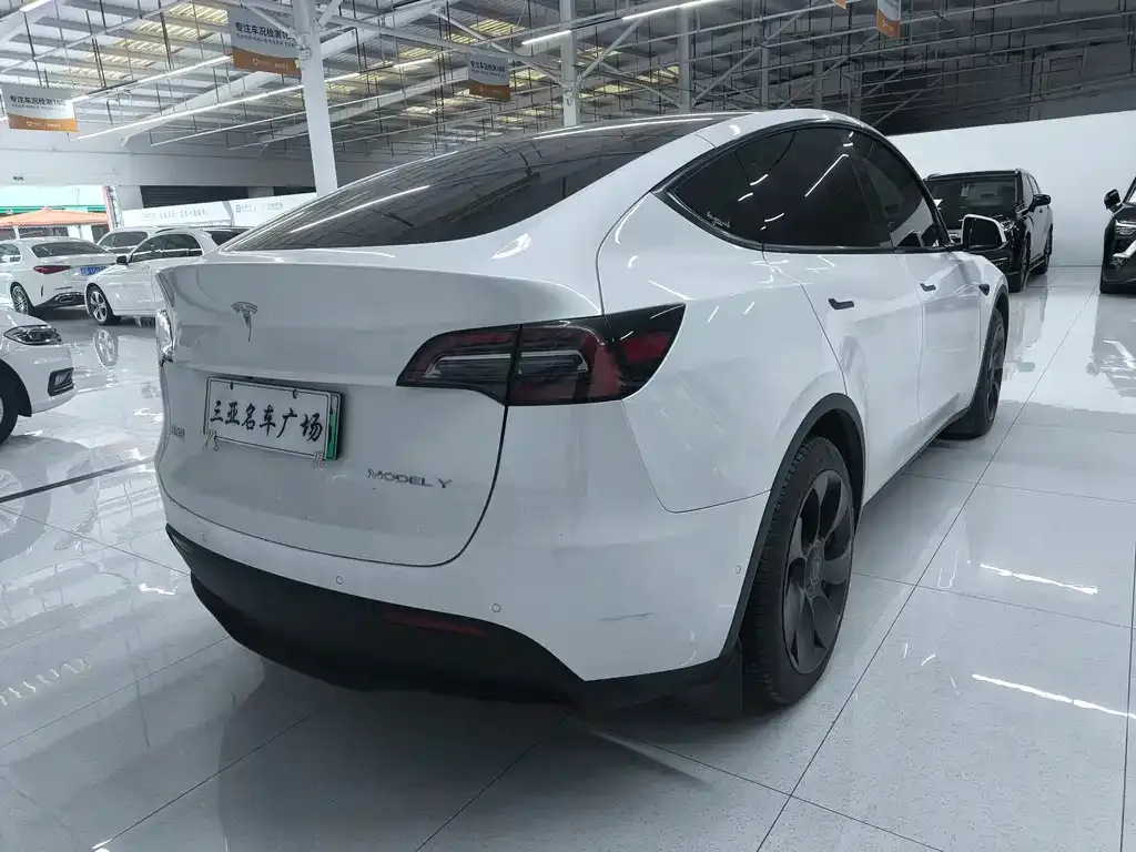 Tesla Model Y — фото 6