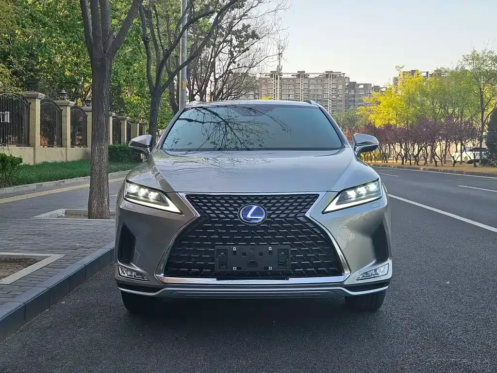 Lexus RX — фото 9