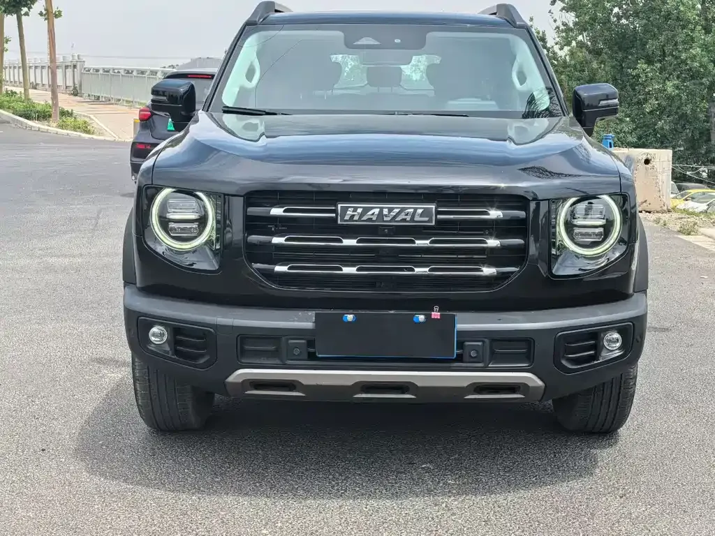 Haval Big Dog 2023 из CN, фото 3