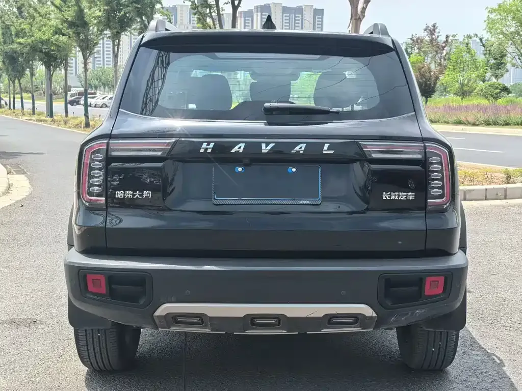 Haval Big Dog 2023 из CN, фото 4