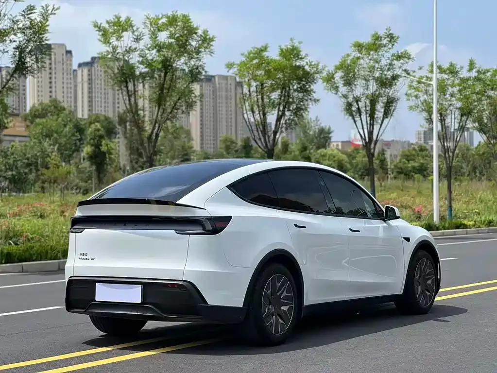 Tesla Model Y L 2026 из CN, фото 8