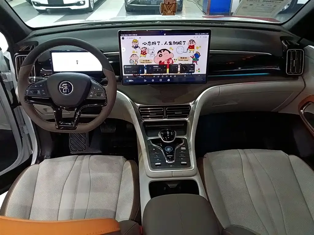 BYD Pro New Energy — фото 10