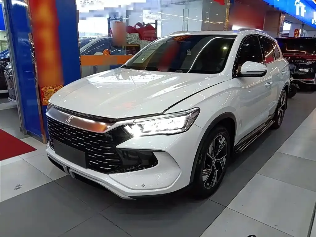 BYD Pro New Energy — фото 7