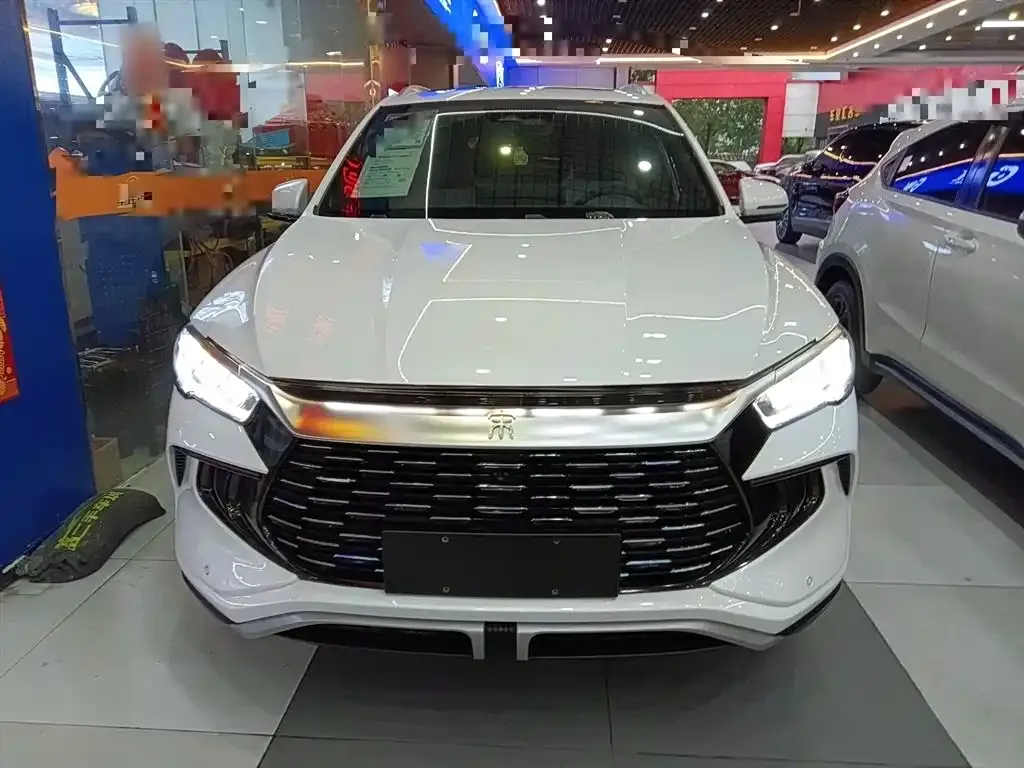 BYD Pro New Energy — фото 2