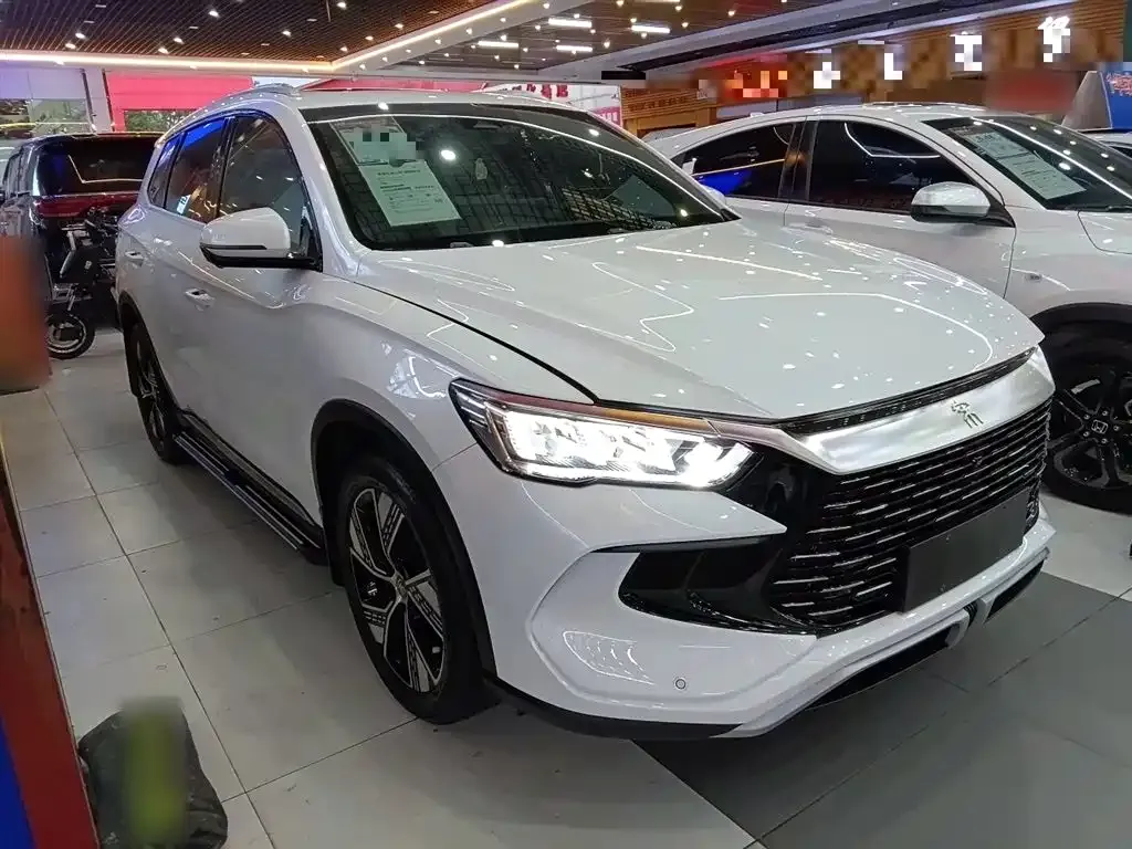 BYD Pro New Energy — фото 6