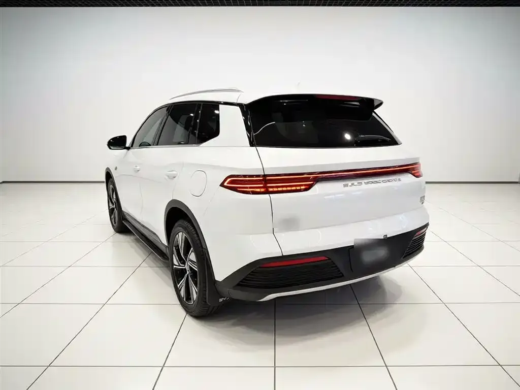 BYD Pro New Energy — фото 3