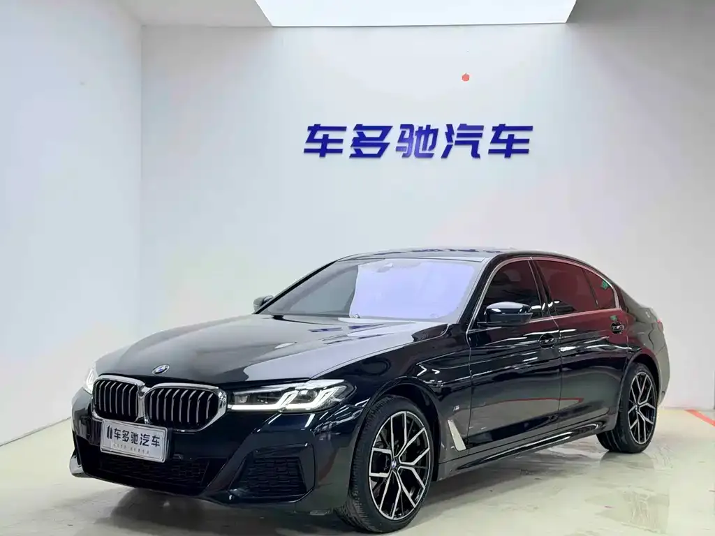 BMW 5 Series 2021 из CN, фото 6