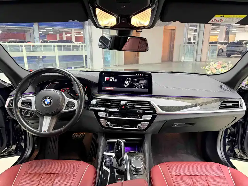 BMW 5 Series 2021 из CN, фото 7