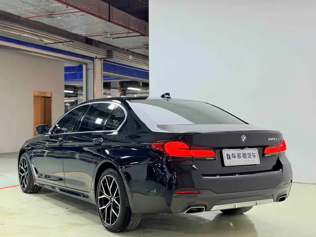 BMW 5 Series 2021 из CN, фото 4