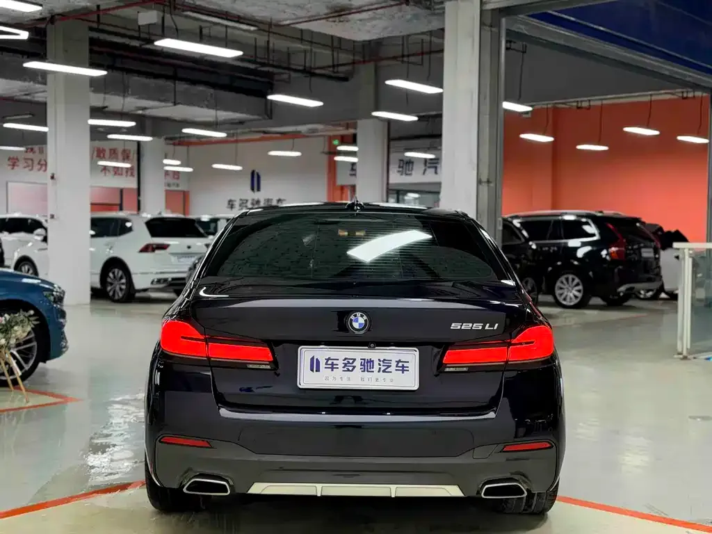 BMW 5 Series 2021 из CN, фото 5