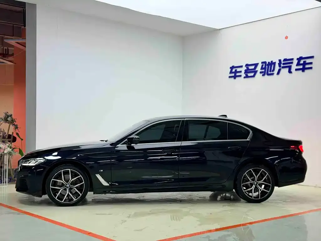 BMW 5 Series 2021 из CN, фото 2