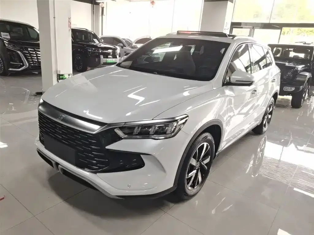 BYD Pro New Energy — фото 3