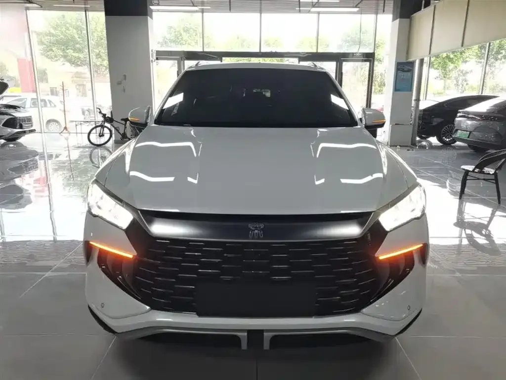BYD Pro New Energy — фото 7