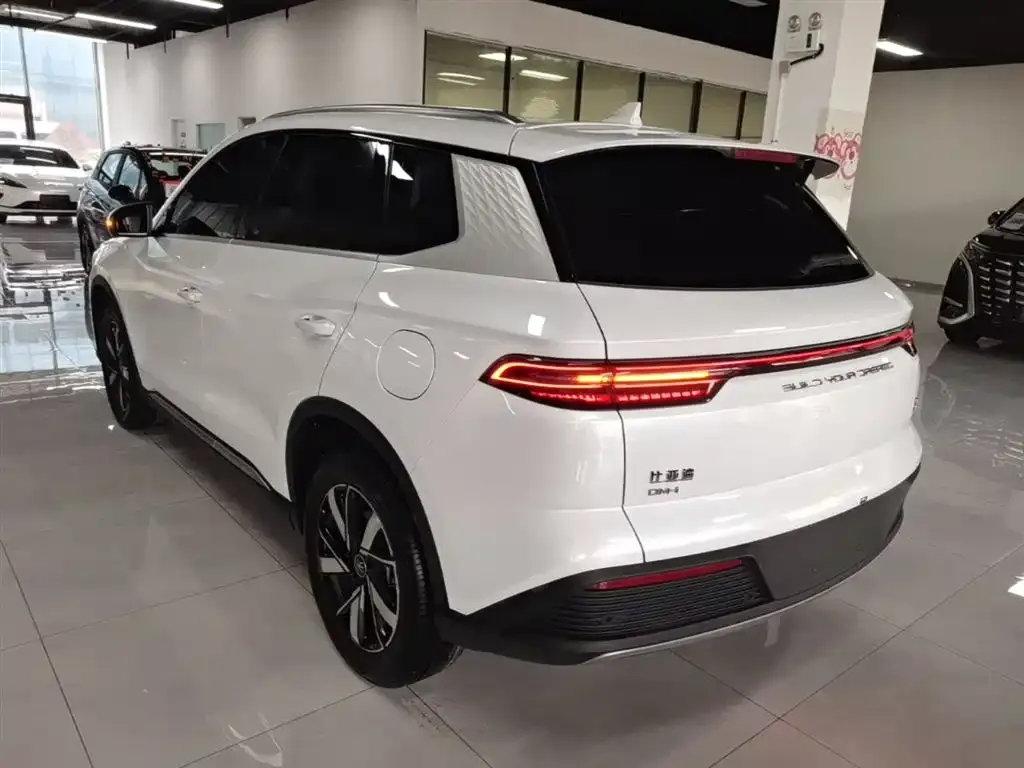 BYD Pro New Energy — фото 8