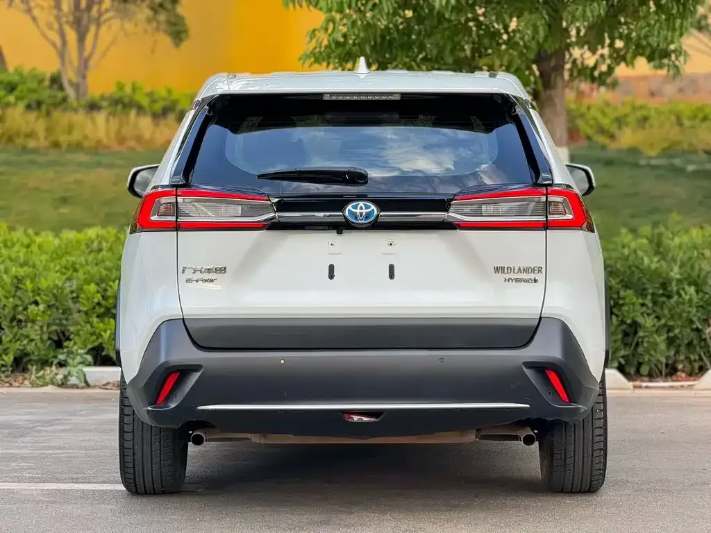 Toyota Wildlander 2022 из CN, фото 2