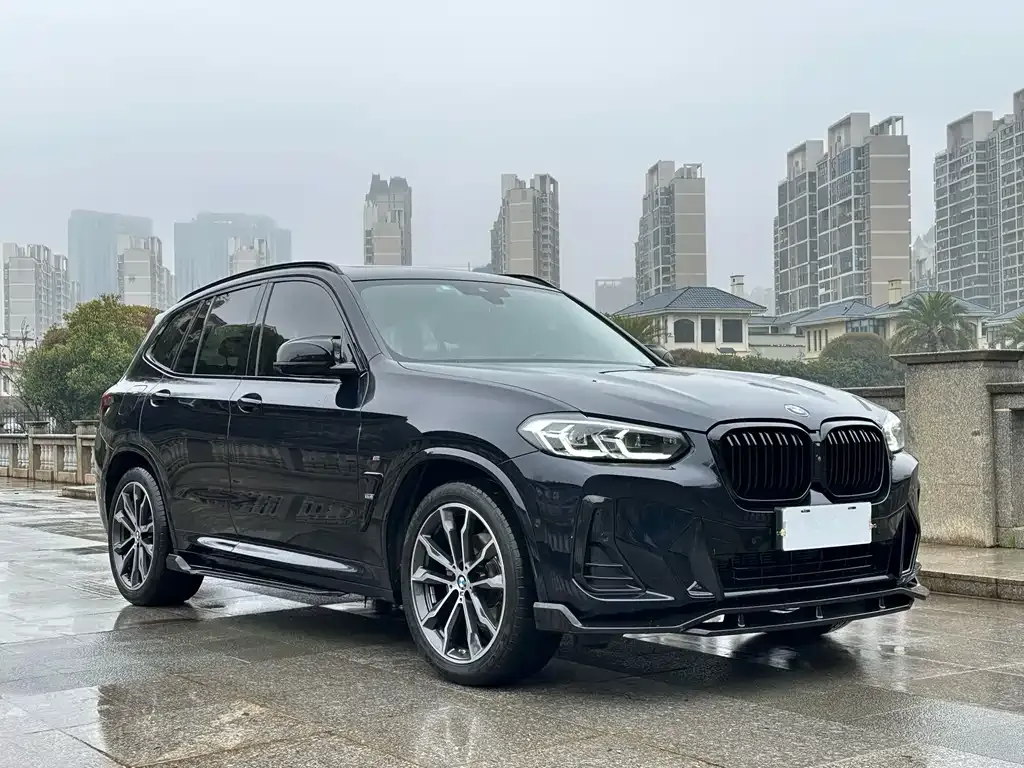 BMW X3 — фото 8
