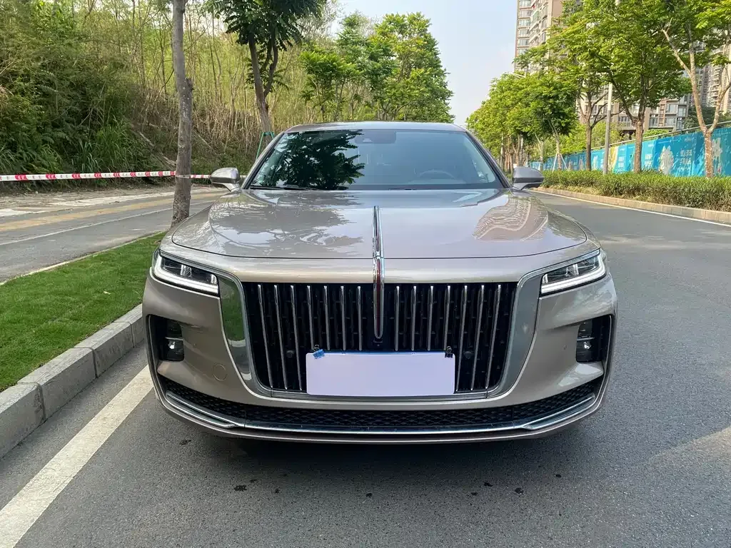 Hongqi H9 2021 из CN, фото 7
