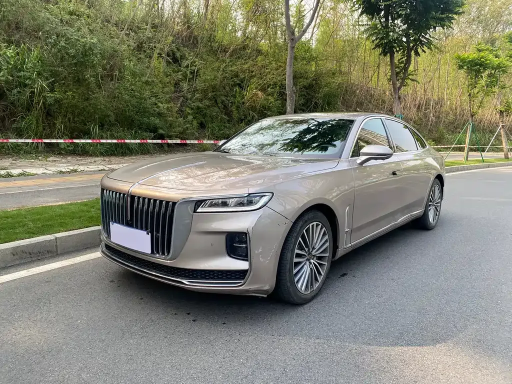 Hongqi H9 2021 из CN, фото 8