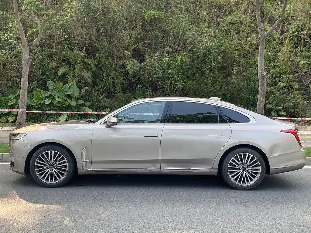 Hongqi H9 2021 из CN, фото 10