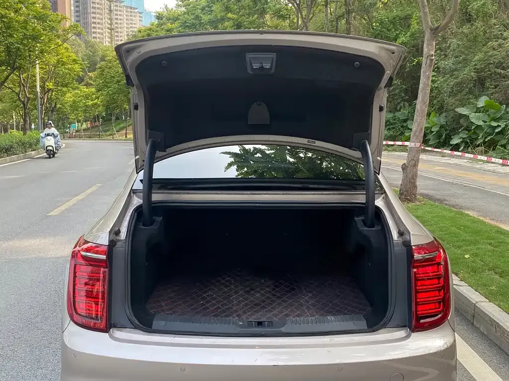Hongqi H9 2021 из CN, фото 4