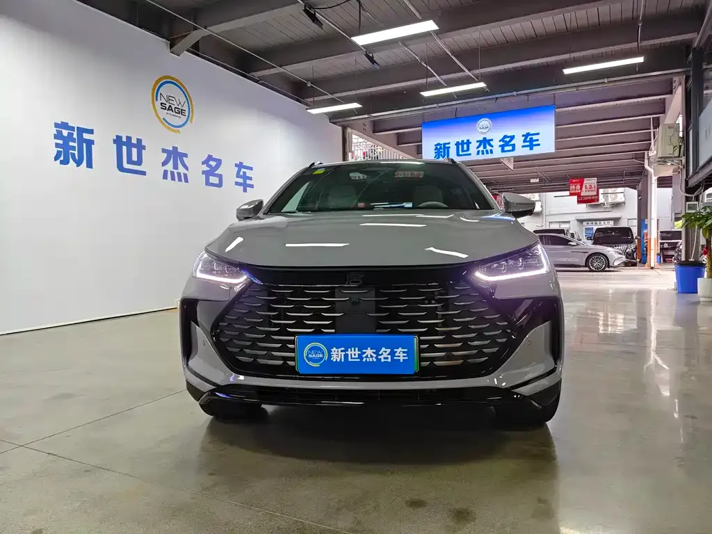 BYD Tang New Energy 2025 из CN, фото 2