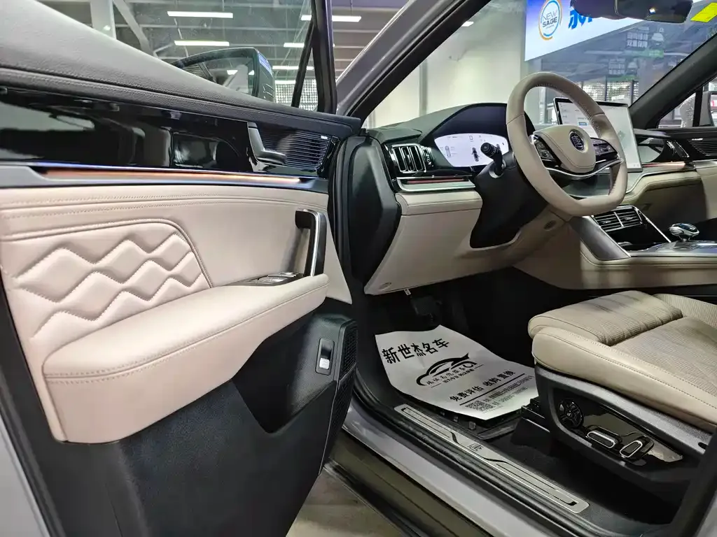 BYD Tang New Energy 2025 из CN, фото 8