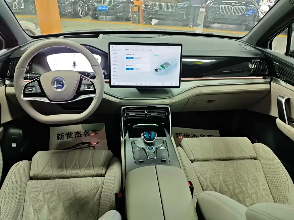 BYD Tang New Energy 2025 из CN, фото 4