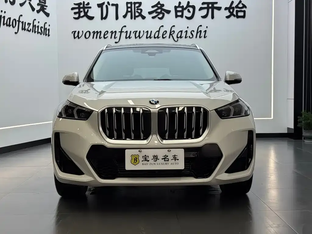 BMW X1 — фото 1
