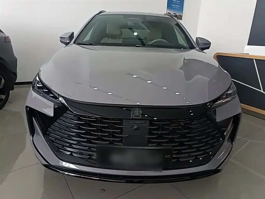 BYD Tang New Energy 2025 из CN, фото 8