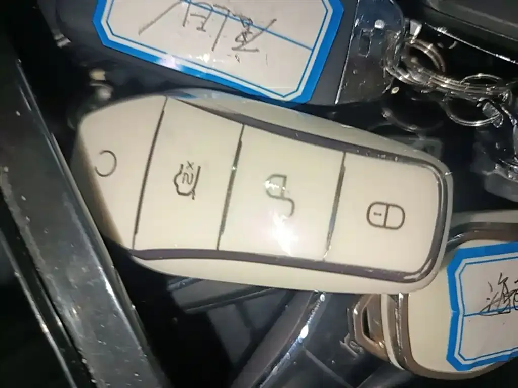 BYD Tang New Energy 2025 из CN, фото 3