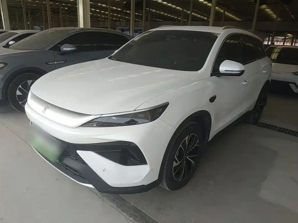 BYD Pro New Energy 2025 из CN, фото 8