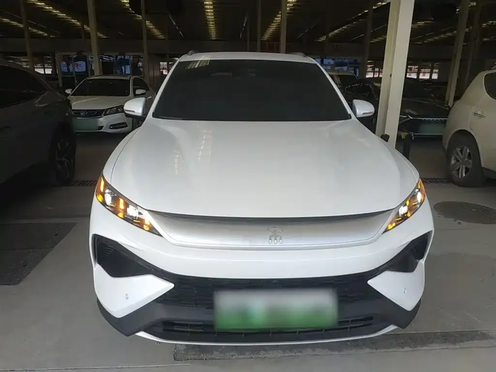 BYD Pro New Energy 2025 из CN, фото 2