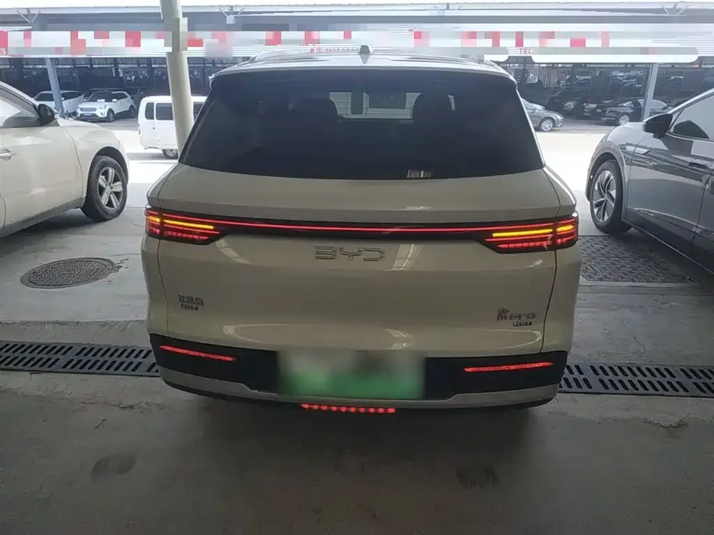 BYD Pro New Energy 2025 из CN, фото 6