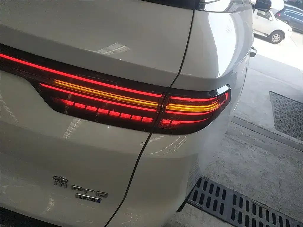BYD Pro New Energy 2025 из CN, фото 4