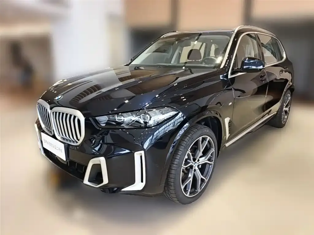 BMW X5 — фото 10