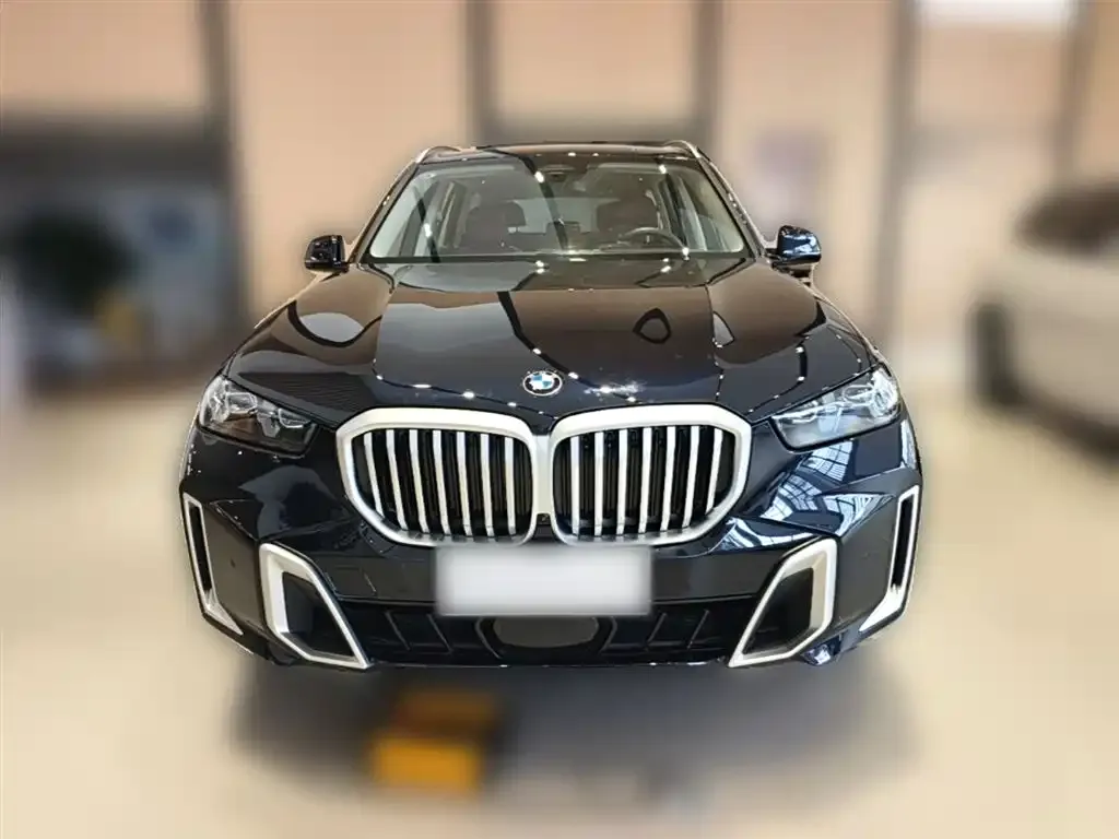 BMW X5 — фото 3