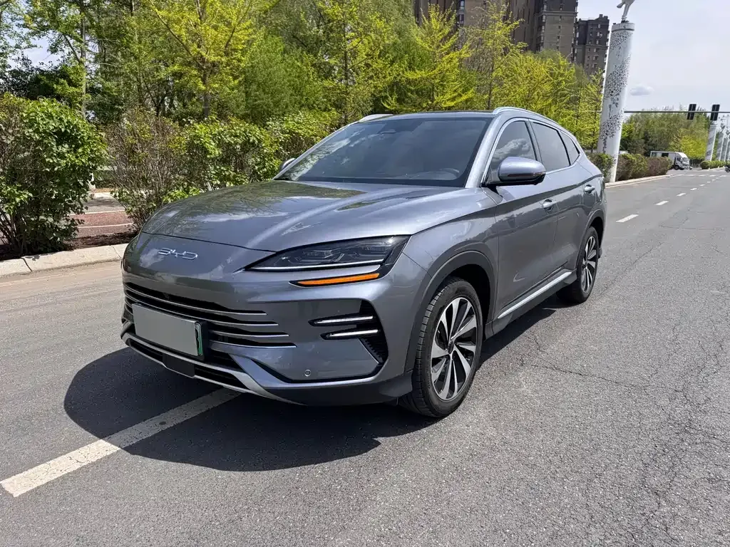 BYD PLUS New Energy — фото 1