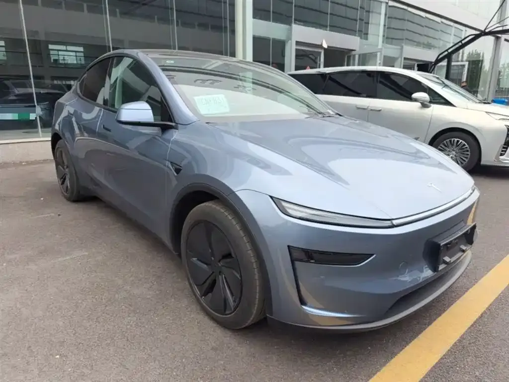 Tesla Model Y 2025 из CN, фото 6