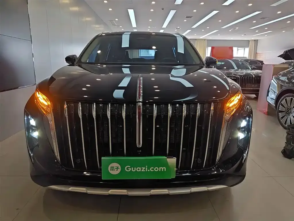 Hongqi HS7 PHEV 2024 из CN, фото 6