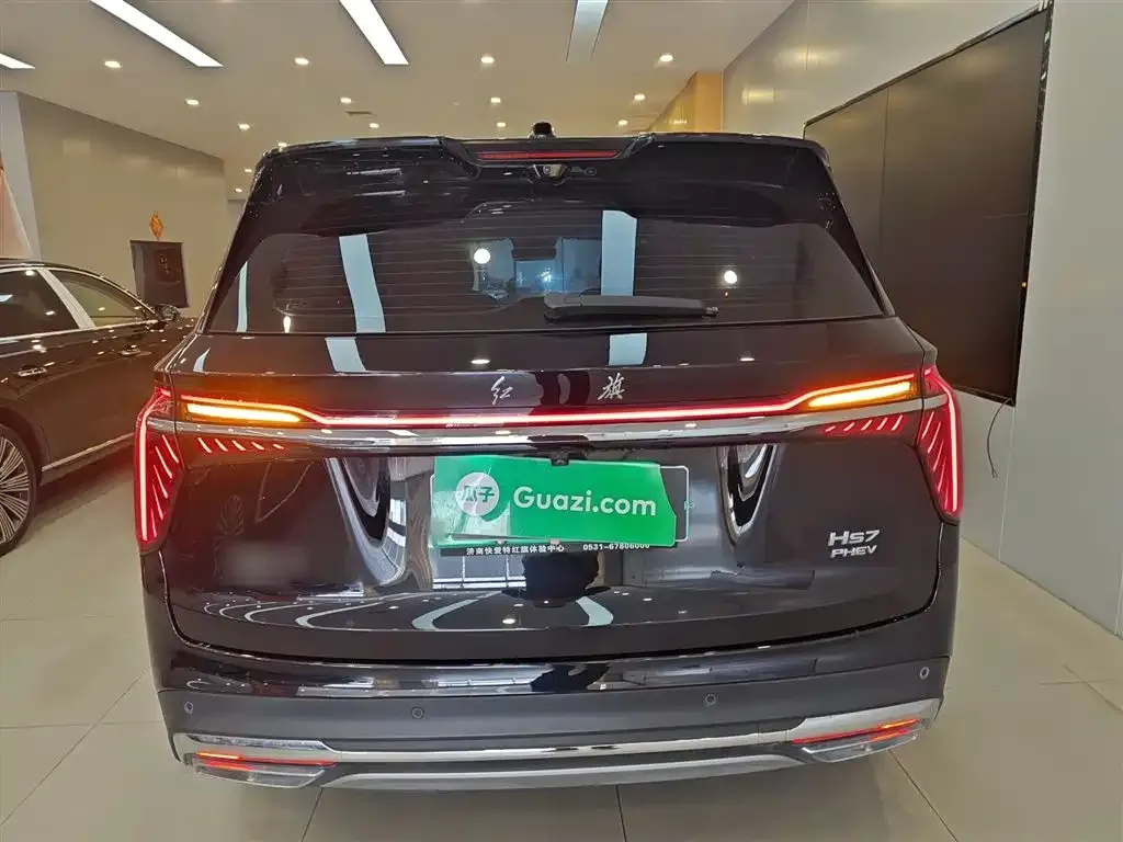 Hongqi HS7 PHEV 2024 из CN, фото 4