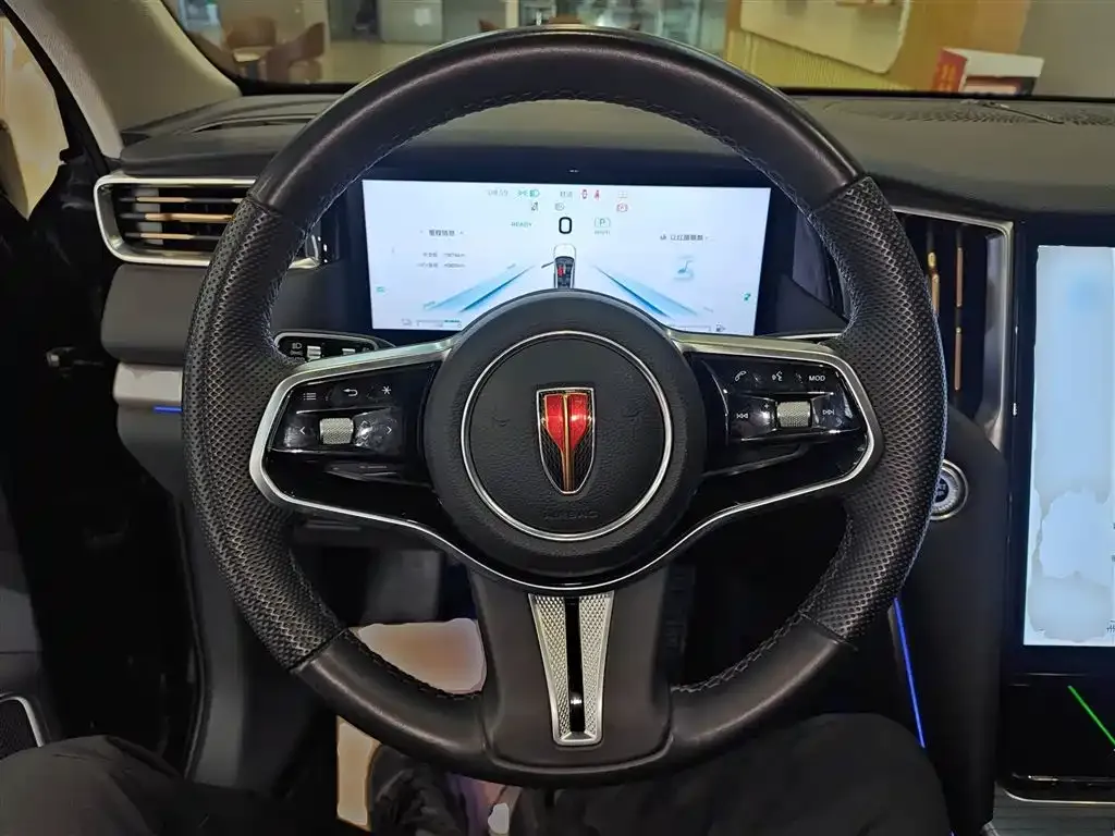 Hongqi HS7 PHEV 2024 из CN, фото 10