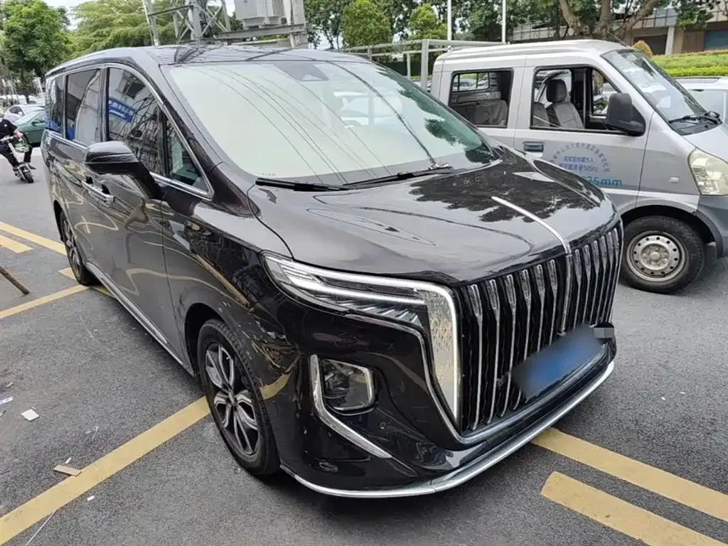 Hongqi HQ9 2023 из CN, фото 10