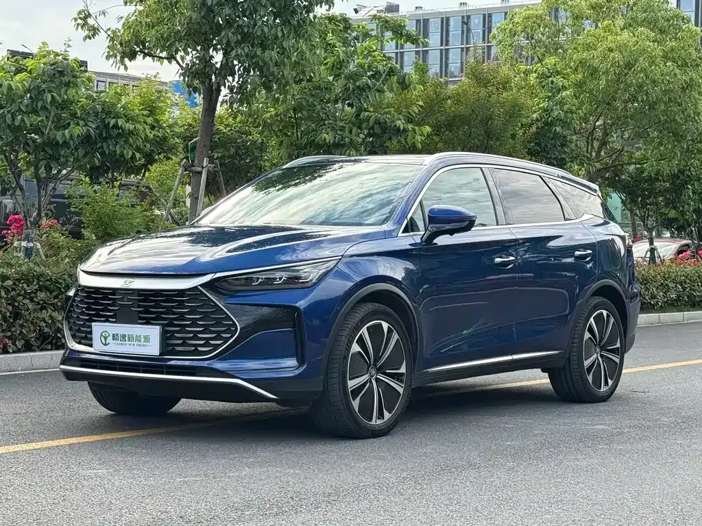 BYD Tang New Energy — фото 1