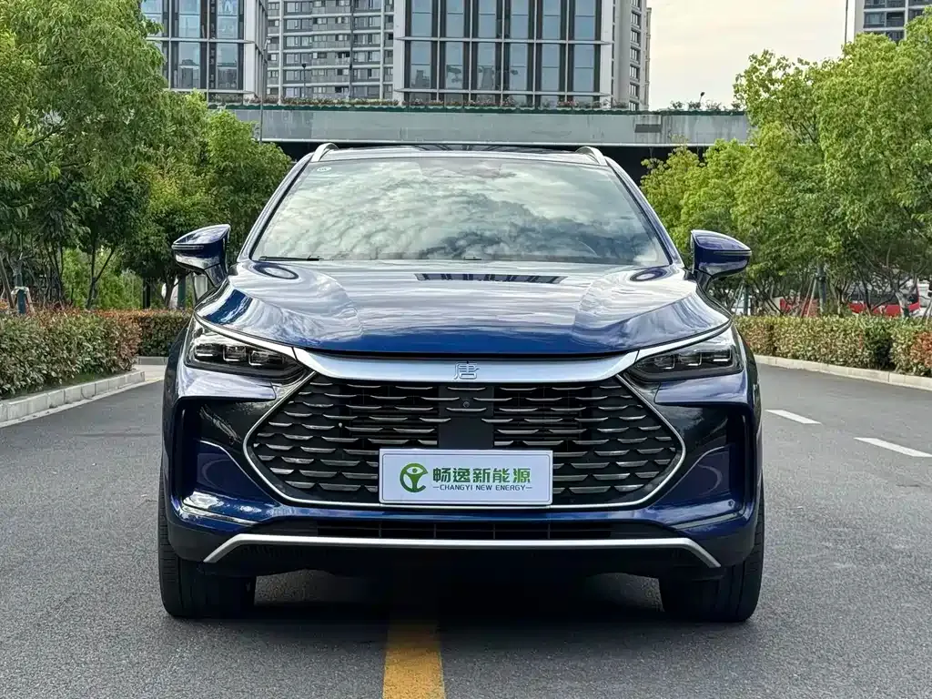 BYD Tang New Energy — фото 4