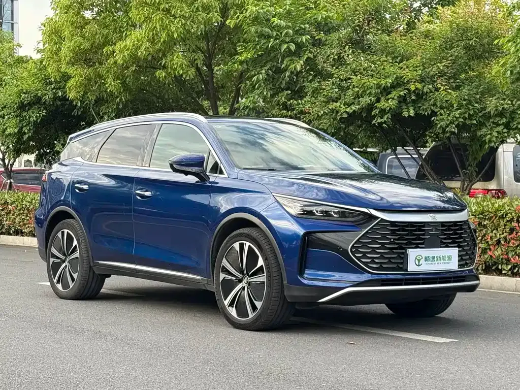 BYD Tang New Energy — фото 10