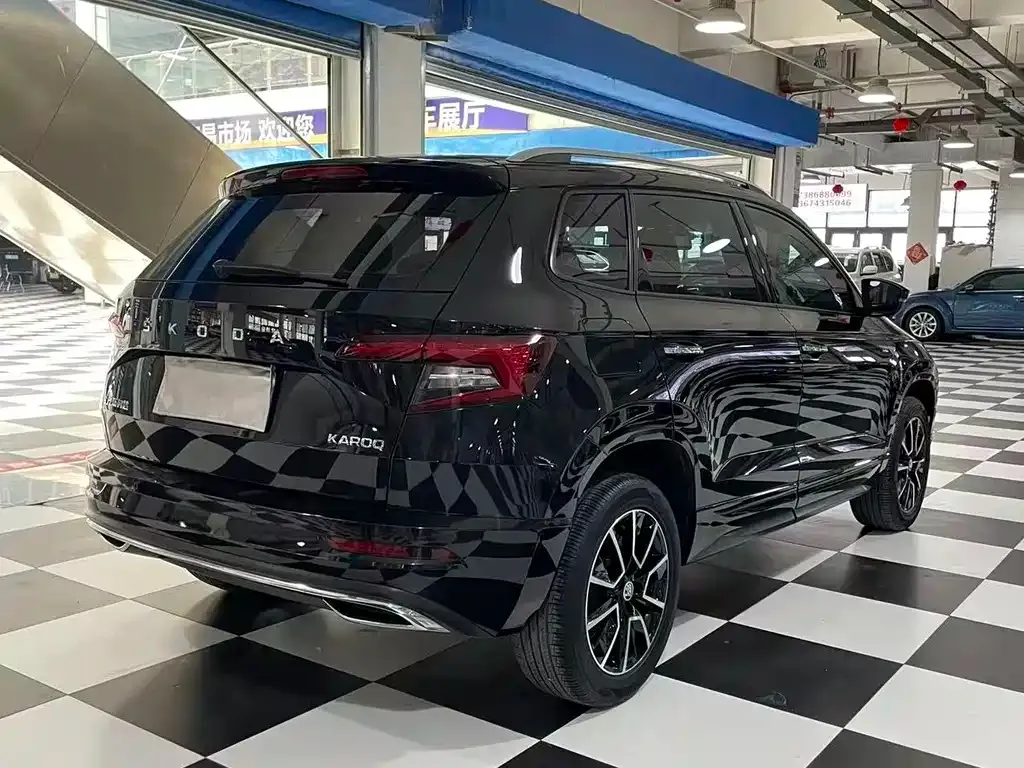 Skoda Karoq — фото 10