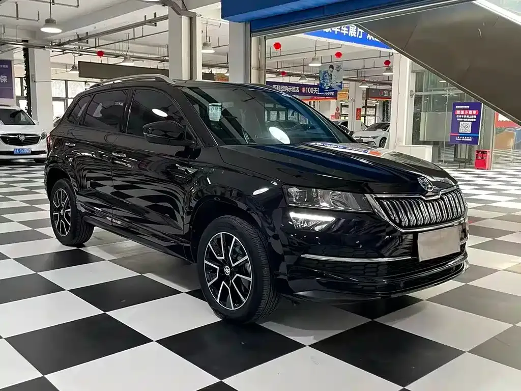 Skoda Karoq — фото 6