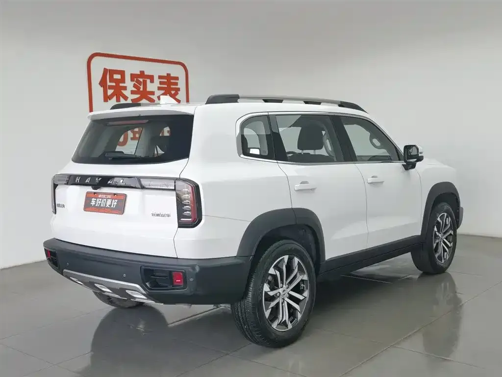 Haval Big Dog 2023 из CN, фото 4