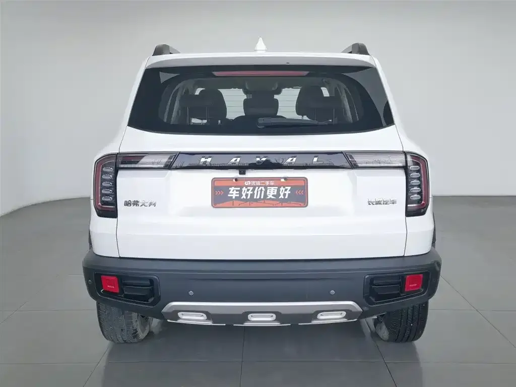 Haval Big Dog 2023 из CN, фото 8
