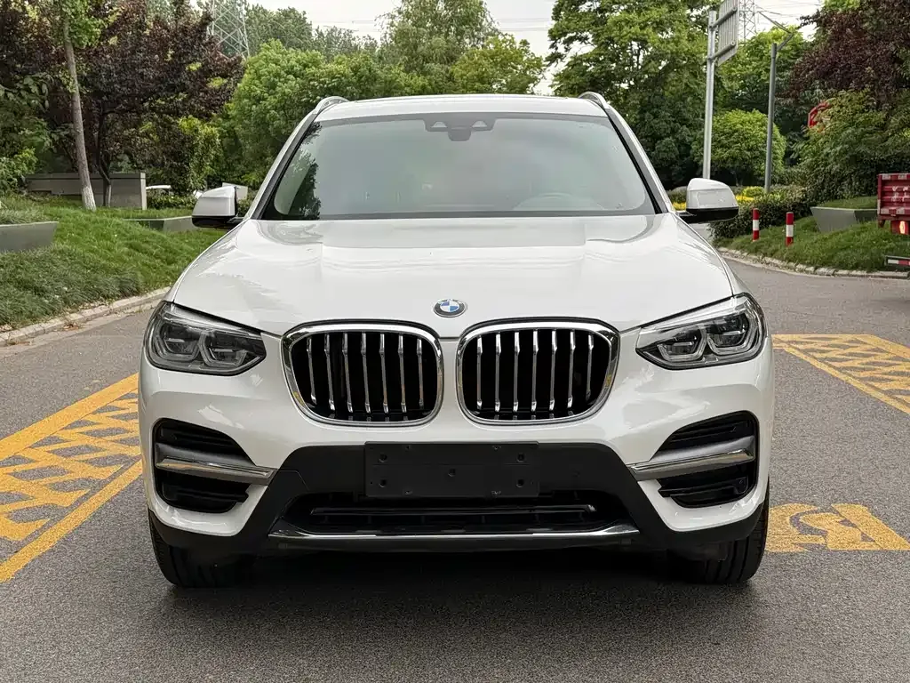 BMW X3 2021 из CN, фото 6